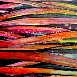 Rhubarb - Drawing