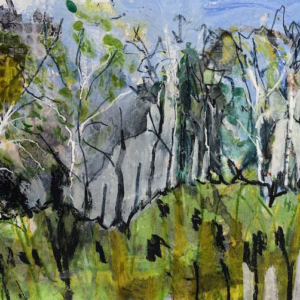 View on Salthouse Heath 2