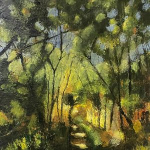 Path in the Woods – Salthouse Heath